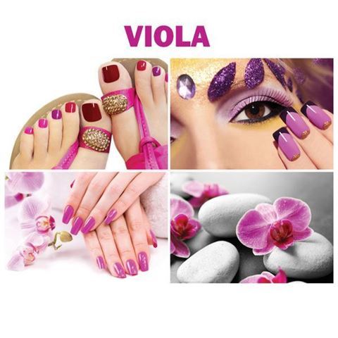 four beautiful Viola canvas murals