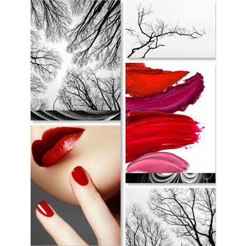 5 piece Mystifying Crimson canvas murals with glass cover