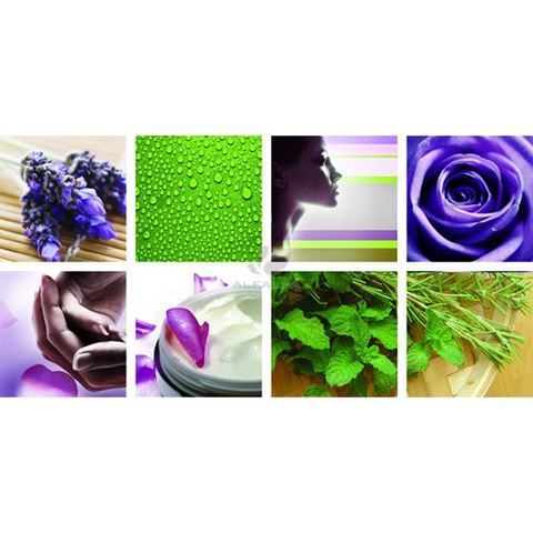 8 piece Botanical Ensemble canvas murals, green and violet color concept