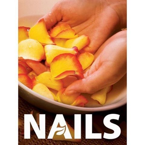 36 x 48 inch A1 Window Decal for nails & spas
