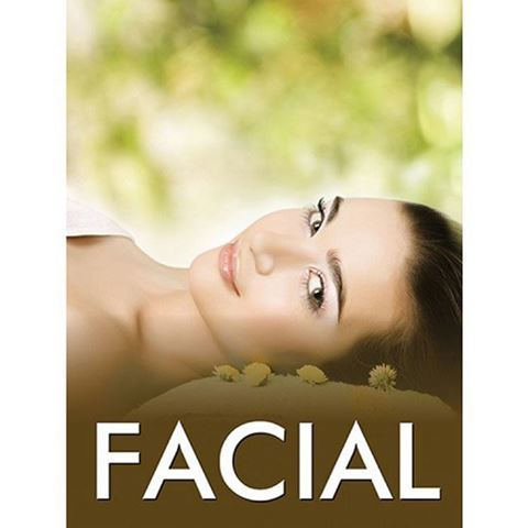 small size 24" x 36" H14 Facial holographic window decal