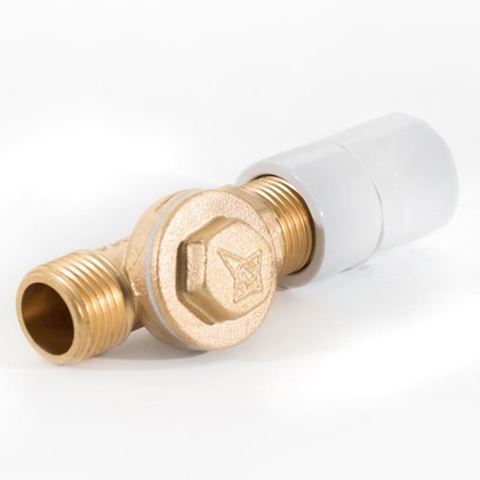 1/2 inch diameter brass GS4150 check valve