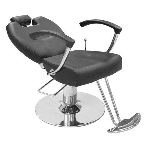 Picture of Berkeley Herman All Purpose Styling Chair