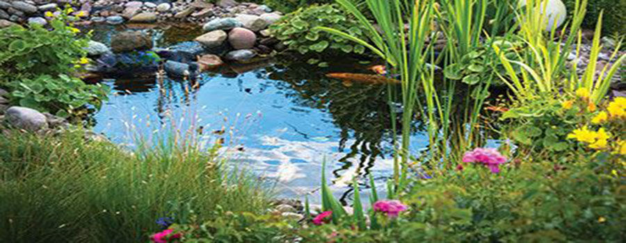 How to build a new pond with liner
