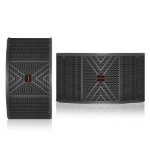 a pair of Ampyon 10 inch karaoke speaker