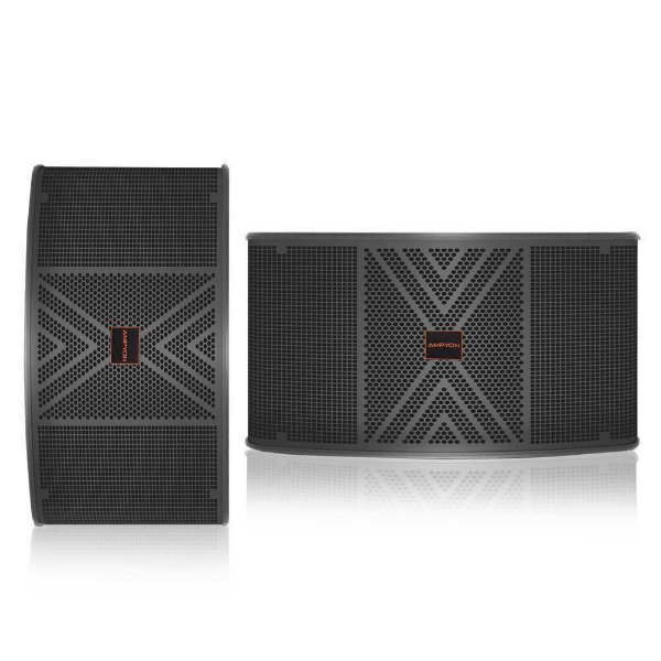 a pair of Ampyon 10 inch karaoke speaker