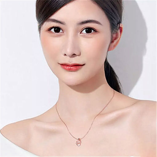 Picture of Mulany NL408 Zircon Fox Pendant Necklace