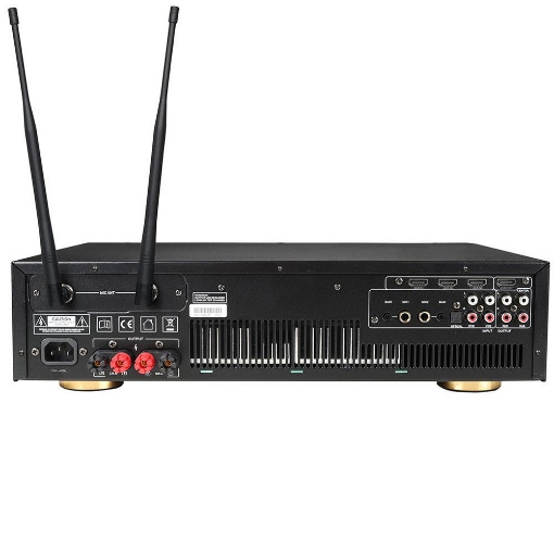 Ampyon DL-4000 Karaoke Amplifier Rear View
