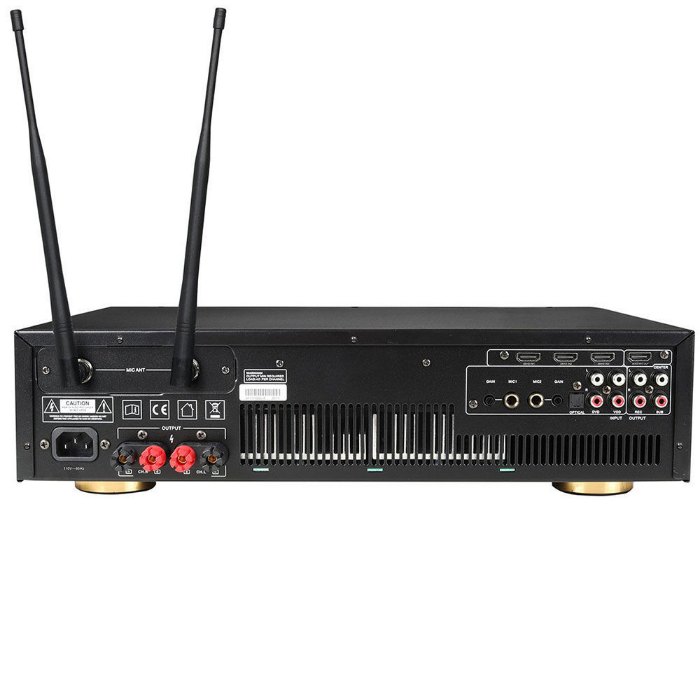 Ampyon DL-4000 Karaoke Amplifier Rear View