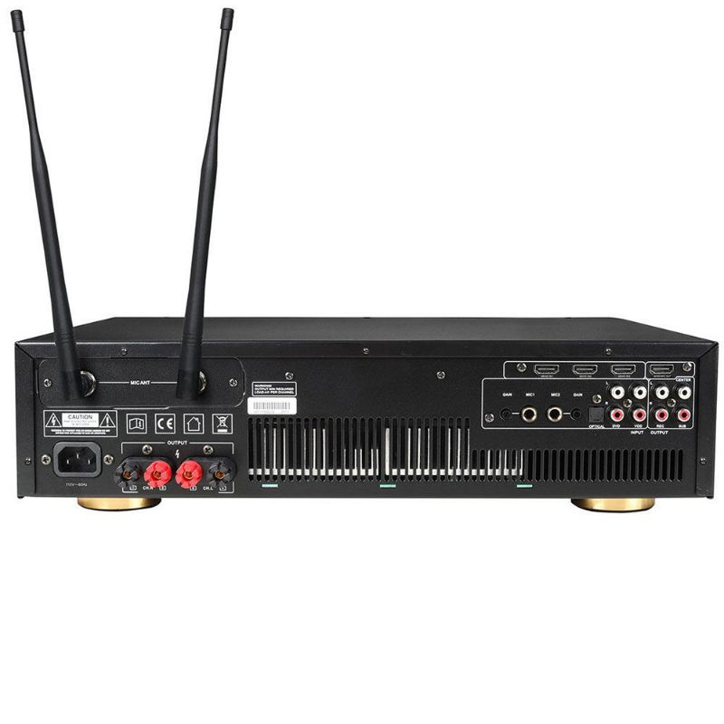 Ampyon DL-4000 Karaoke Amplifier Rear View