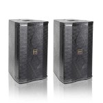 Picture of Ampyon LS-10  Professional Karaoke Speaker