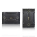 Picture of Ampyon KSX-10 Karaoke Speaker