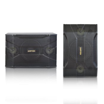 Picture of Ampyon KSX-10 Karaoke Speaker