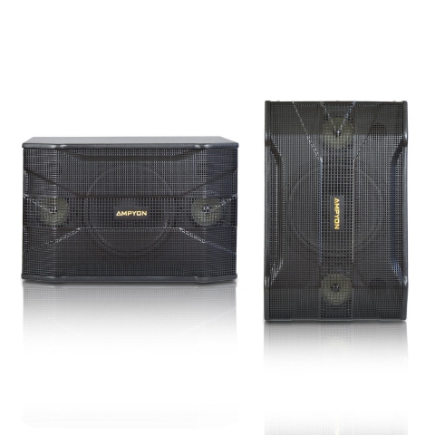 Picture of Ampyon KSX-10 Karaoke Speaker
