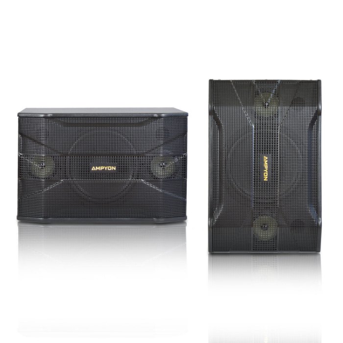 Picture of Ampyon KSX-10 Karaoke Speaker