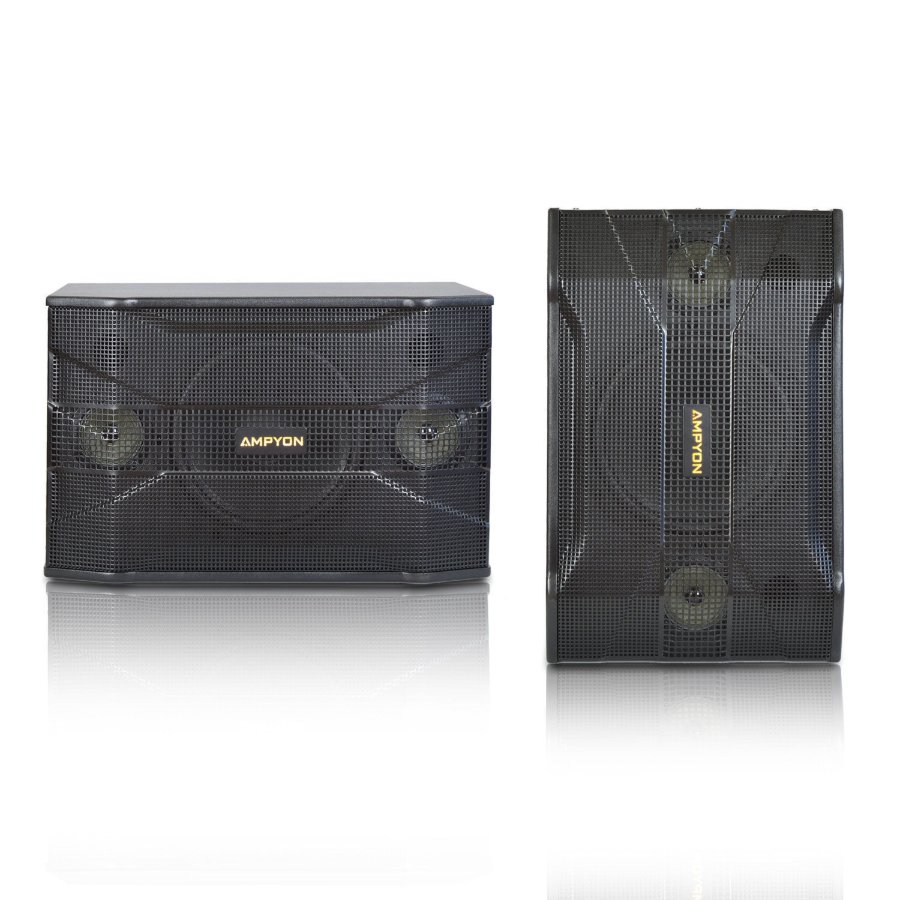 Picture of Ampyon KSX-10 Karaoke Speaker
