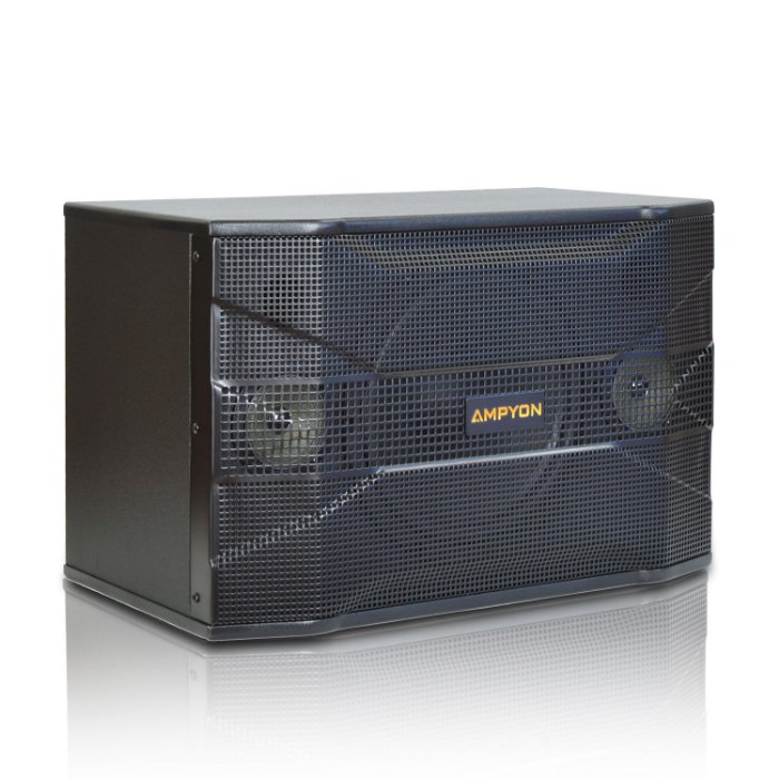 Picture of Ampyon KSX-10 Karaoke Speaker