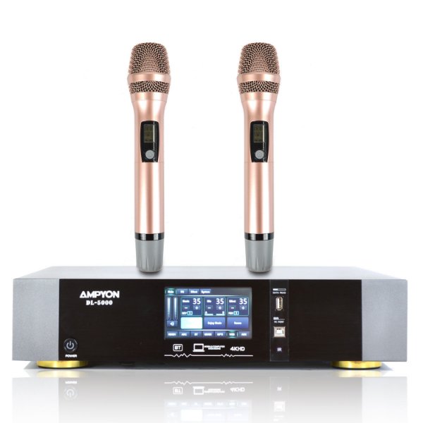 Picture of Ampyon DL-5000 Digital Karaoke Amplifier