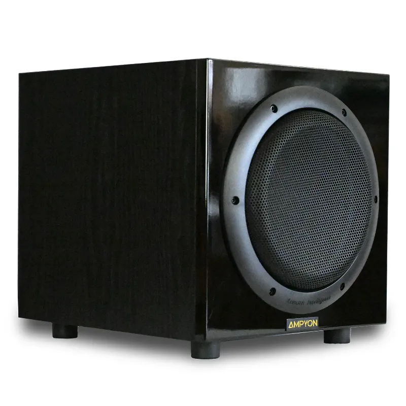 Hình ảnh Loa Siêu Trầm Ampyon SW-12