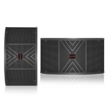 a pair of Ampyon 10 inch karaoke speaker