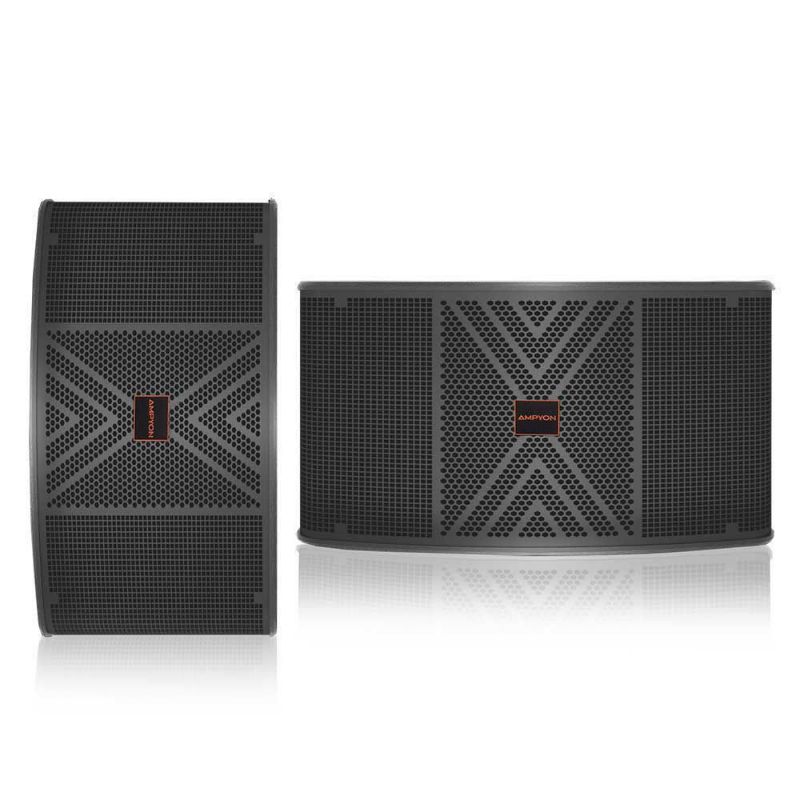 a pair of Ampyon 10 inch karaoke speaker