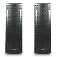 Picture of Ampyon LS-12EX Professional Karaoke Speaker