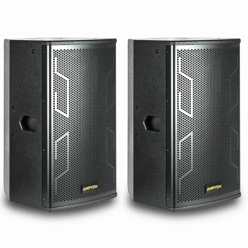 Picture of Ampyon LS-12ES Professional Karaoke Speaker 