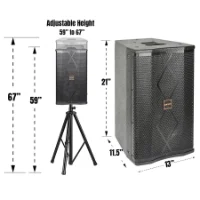 Picture of Ampyon LS-10  Professional Karaoke Speaker