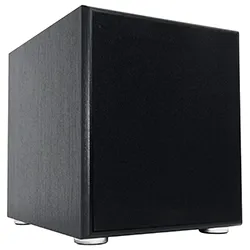 10 Inch Powered subwoofer