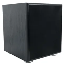 Loa siêu trầm 10 inch