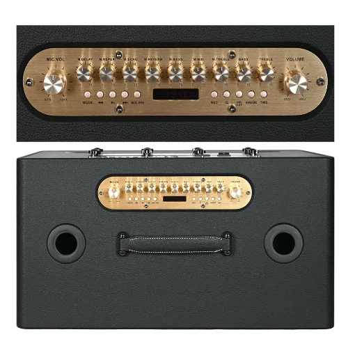 Close-up of Ampyon Starboks III control panel with microphone volume, echo, reverb, bass, mid, and treble controls