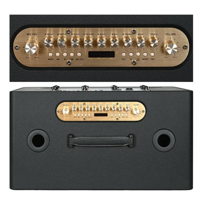 Close-up of Ampyon Starbox III control panel with microphone volume, echo, reverb, bass, mid, and treble controls