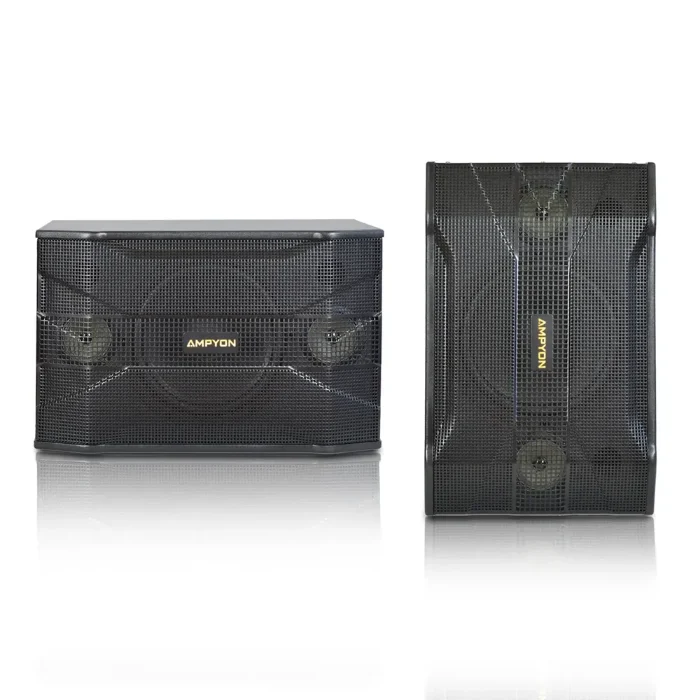 Picture of Ampyon Standard AKS-302 – Compact Analog Karaoke System