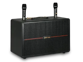 Picture for category Portable Karaoke 