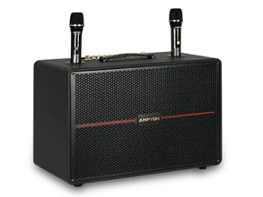 Picture for category Portable Karaoke 