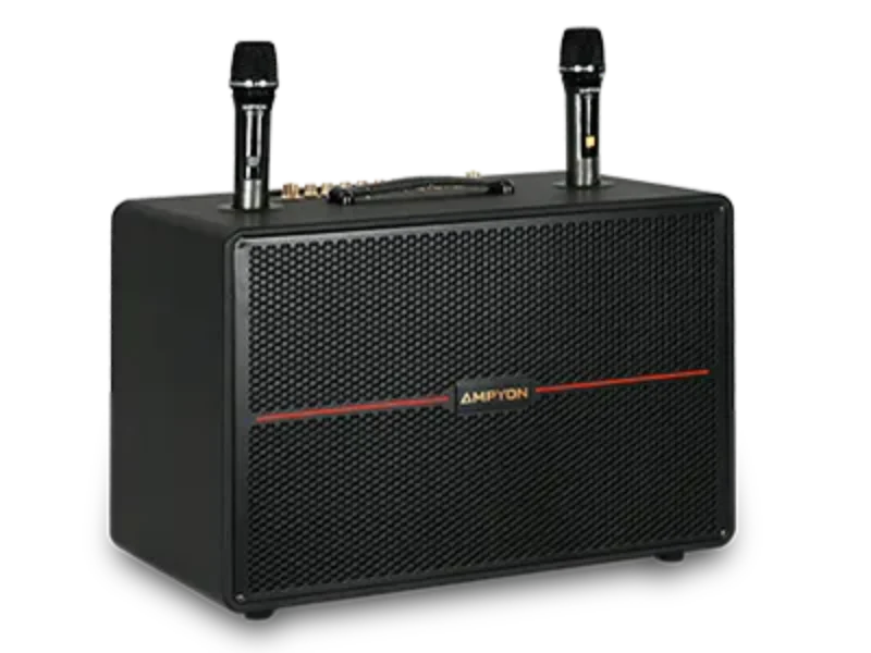 Picture for category Portable Karaoke 