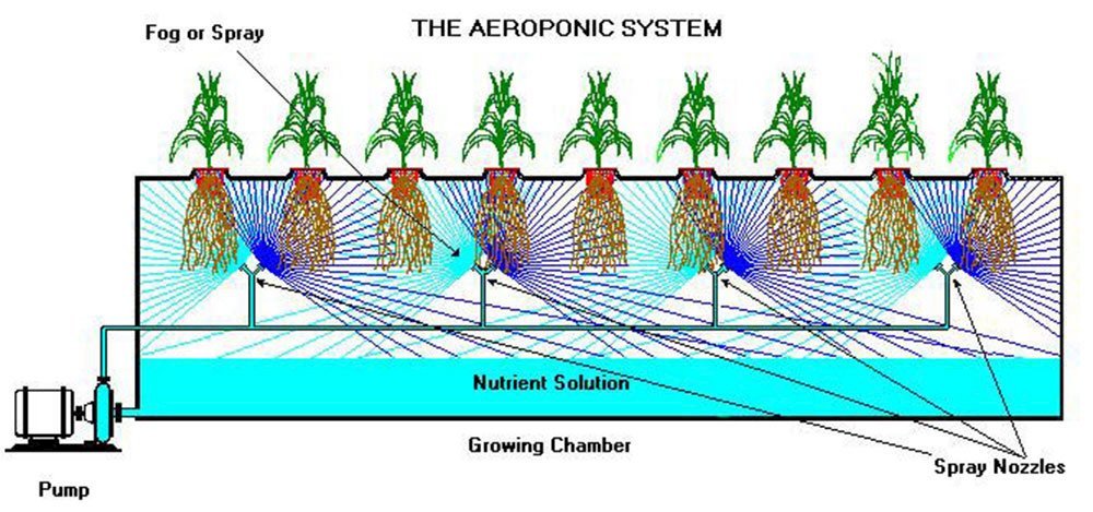 Aeroponics Diagram