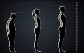 zero gravity position massage chair diagram