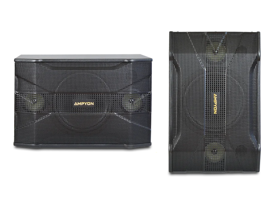 Ampyon KSX-10 Karaoke Speaker Pair