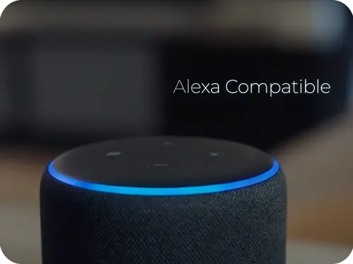 Voice Control