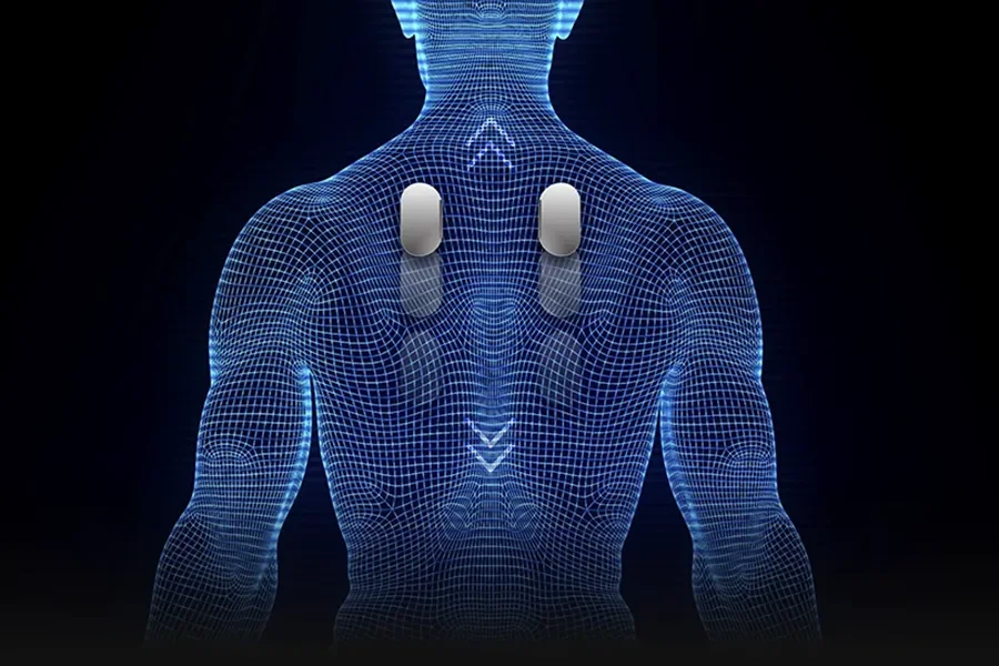 Osaki Ziva automatic body scan system