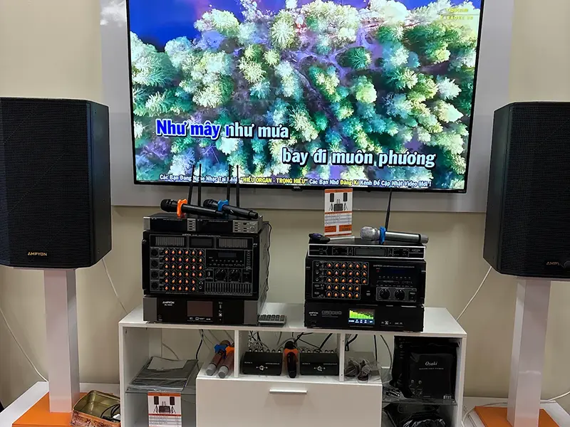 Karaoke system photo uploaded by Google reviewer Jimmy Nguyen